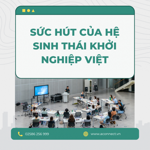 Sức Hút Của Hệ Sinh Thái Khởi Nghiệp Việt